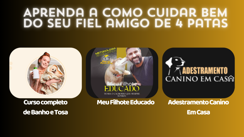 imagem de adestramento
