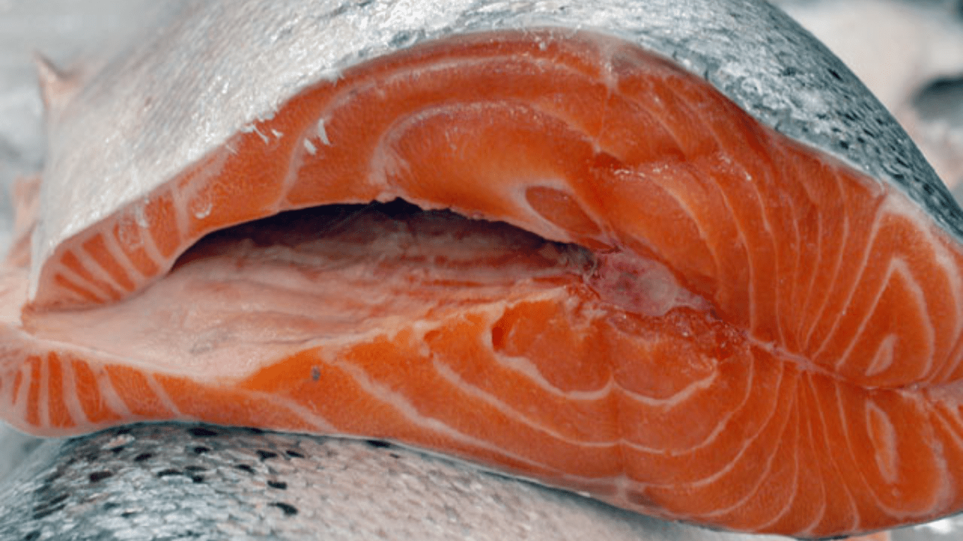 7 Alimentos que Ajudam a Emagrecer Naturalmente e com Saúde 7 salmão cortado