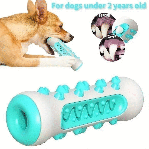 brinquedo massageador para cães 4